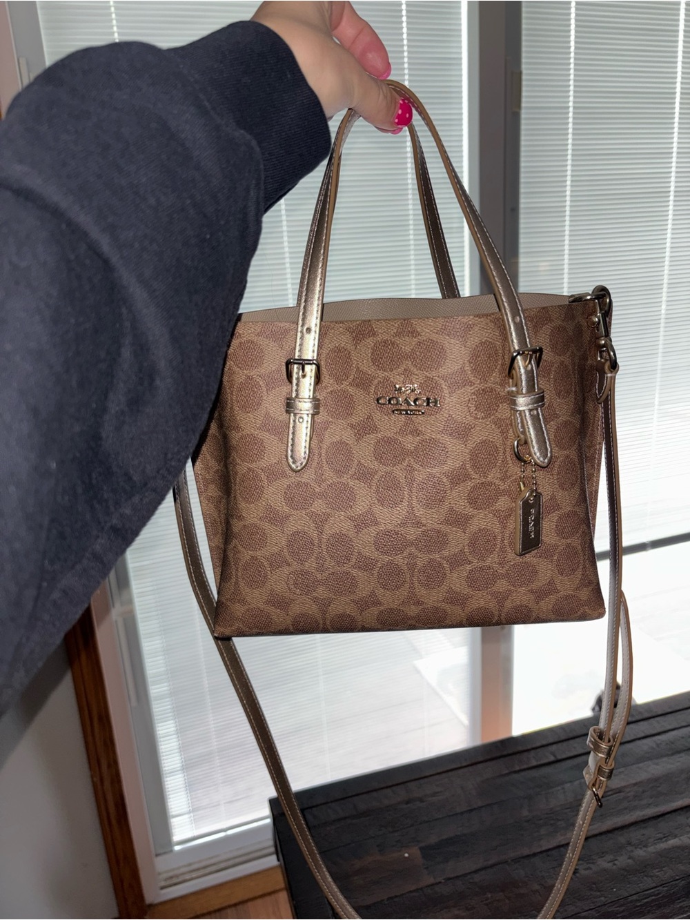 Coach Brown Signature Crossbody Tote with Metallic Trim MOLLIE TOTE 25
